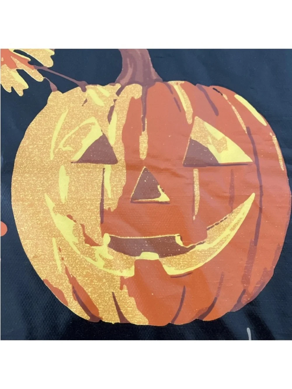 N/A pumpkins leaf